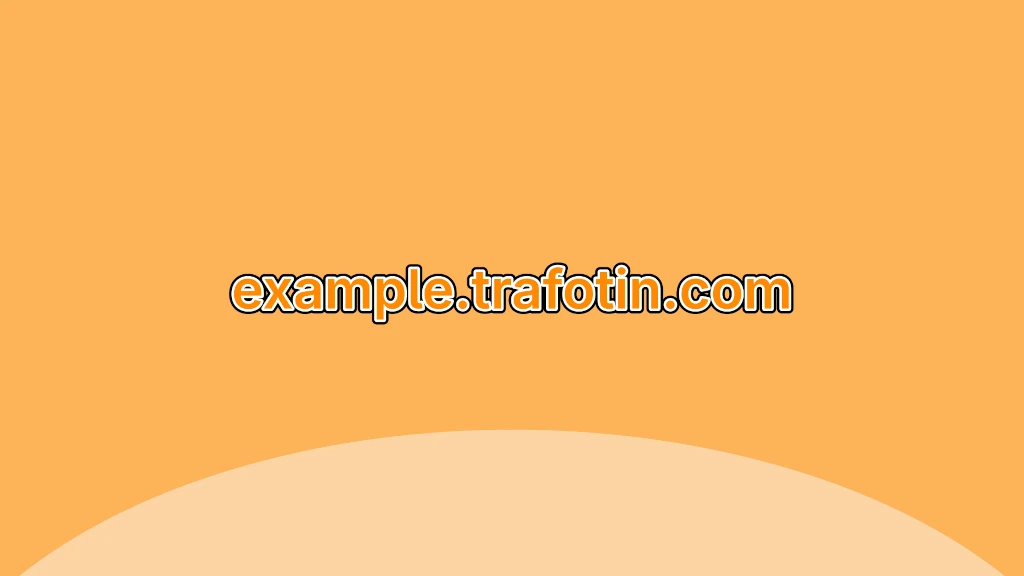 The domain example.trafotin.com