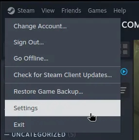 The menu showing Steam’s settings