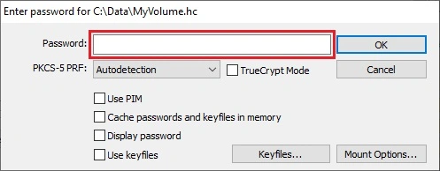 The VeraCrypt password prompt with the “Password” box outlined in a red rectangle.